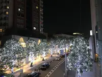 六本木けやき坂通りの写真・動画_image_279054