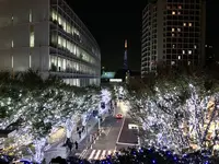 六本木けやき坂通りの写真・動画_image_279055