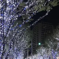 六本木けやき坂通りの写真・動画_image_279056