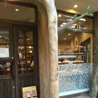 パン樹・久遠の写真・動画_image_279461