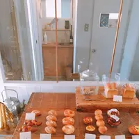 うぐいすと穀雨の写真・動画_image_279484