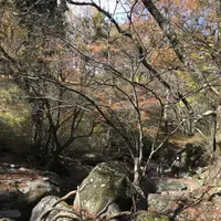 マゼノ渓谷の写真・動画_image_279489