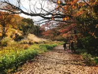 マゼノ渓谷の写真・動画_image_279490