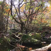 マゼノ渓谷の写真・動画_image_279491