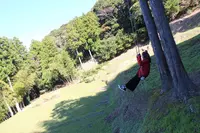 古民家ゲストハウス わとやの写真・動画_image_279766