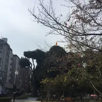 若林公園の写真・動画_image_280052
