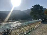 嵐山の写真・動画_image_280215