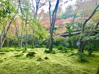 嵐山の写真・動画_image_280217