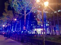御堂筋の写真・動画_image_280221
