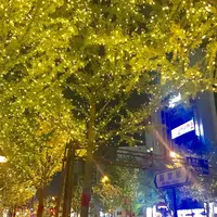 御堂筋の写真・動画_image_280222