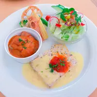 生活の木薬香草園の写真・動画_image_280315