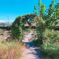 生活の木薬香草園の写真・動画_image_280325