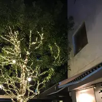ザ・ハーベストキッチンジェネラルストアの写真・動画_image_280382