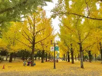 熊本県の写真・動画_image_280492