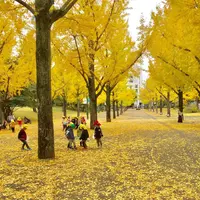 熊本県の写真・動画_image_280494