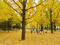熊本県の写真・動画_image_280495