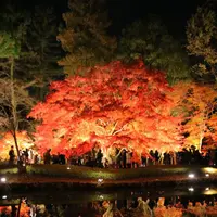 曽木公園の写真・動画_image_281146
