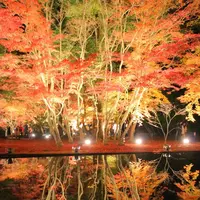 曽木公園の写真・動画_image_281147