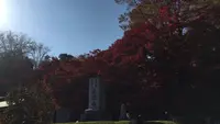 永源寺（もみじ寺）の写真・動画_image_281352