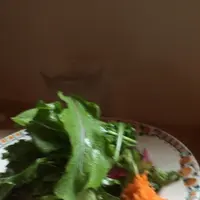 クルートの写真・動画_image_281358