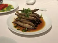 シェフスの写真・動画_image_281371