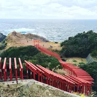 元乃隅神社の写真・動画_image_281458