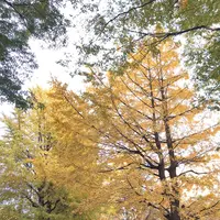 上野東照宮の写真・動画_image_281954