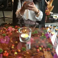 ニコライバーグマン ノム（Nicolai Bergmann NOMU ）の写真・動画_image_282323