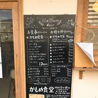 かもめ食堂の写真・動画_image_282684
