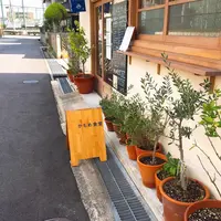 かもめ食堂の写真・動画_image_282687