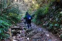 高尾山の写真・動画_image_282981