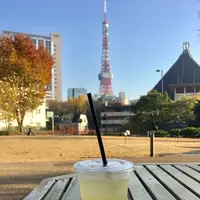 まちの本とサンドイッチの写真・動画_image_283076