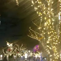 神戸ハーバーランドumieの写真・動画_image_283657