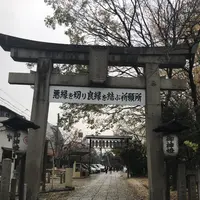 安井金比羅宮の写真・動画_image_283739