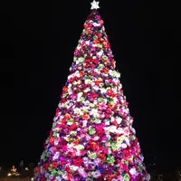 東京ソラマチの写真・動画_image_283933