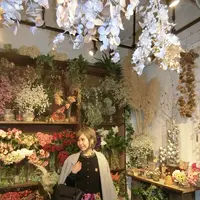 エッセンス カフェ （essence cafe）の写真・動画_image_284132
