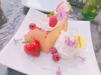ラストシフォン （Last chiffon）の写真・動画_image_284495