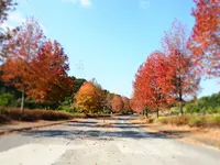 有田ポーセリンパークの写真・動画_image_284724
