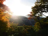 九重“夢”大吊橋の写真・動画_image_284741