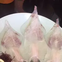 呼子萬坊の写真・動画_image_284780