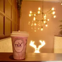 【閉業】アルフレッドティールーム 青山本店 （ALFRED TEA ROOM） の写真・動画_image_285064