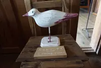 ネコノシマホステルの写真・動画_image_285139