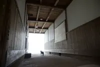 ネコノシマホステルの写真・動画_image_285143
