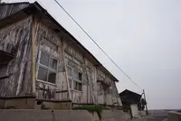 ネコノシマホステルの写真・動画_image_285150