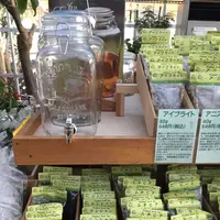 九十九里ハーブガーデンの写真・動画_image_285428