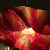 りんご飴専門店ポムダムールトーキョーの写真・動画_image_285531