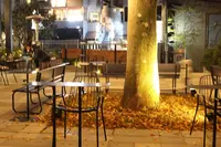 TRUNK (HOTEL)の写真・動画_image_285603