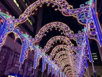 神戸ルミナリエの写真・動画_image_285671