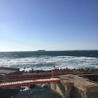 東京湾フェリー久里浜港の写真・動画_image_285756