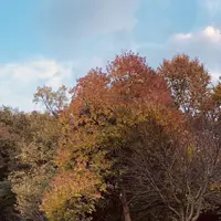 県立座間谷戸山公園の写真・動画_image_285905